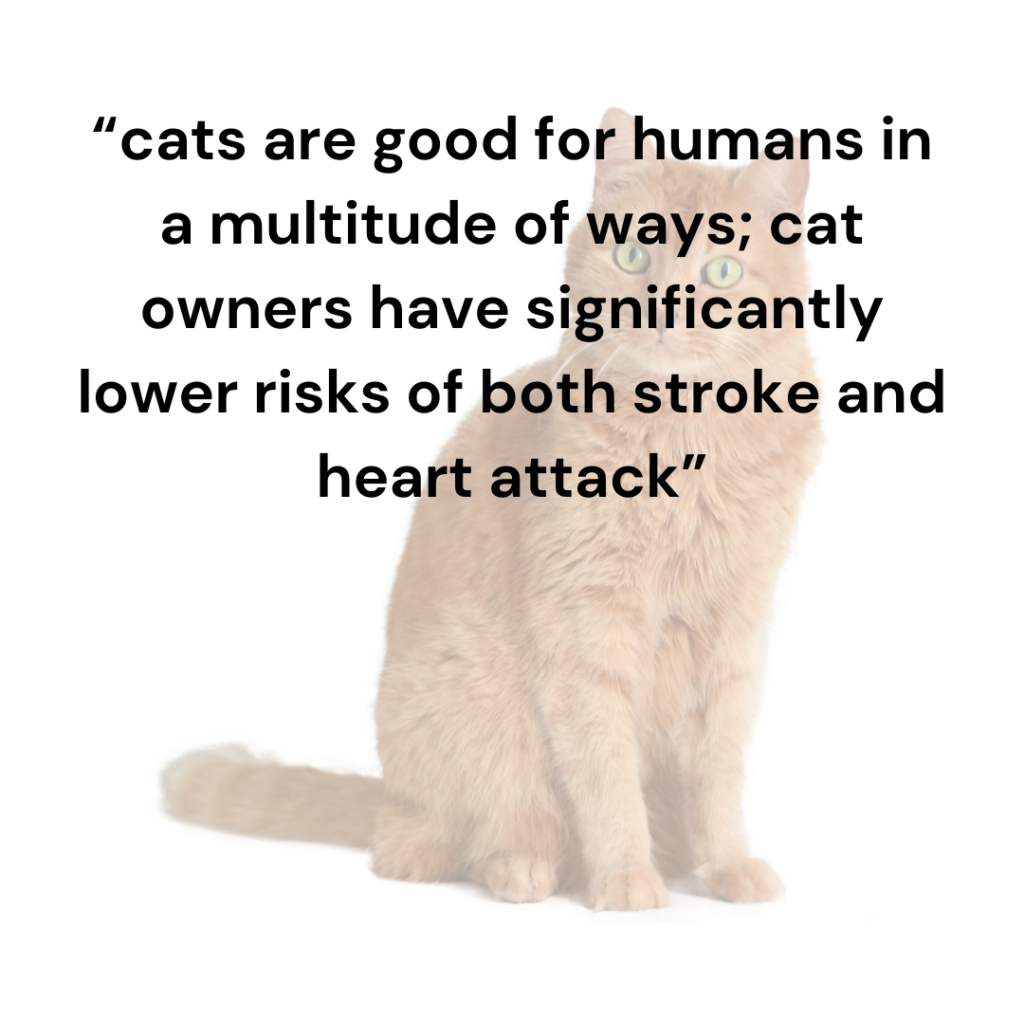 cats are good for humans