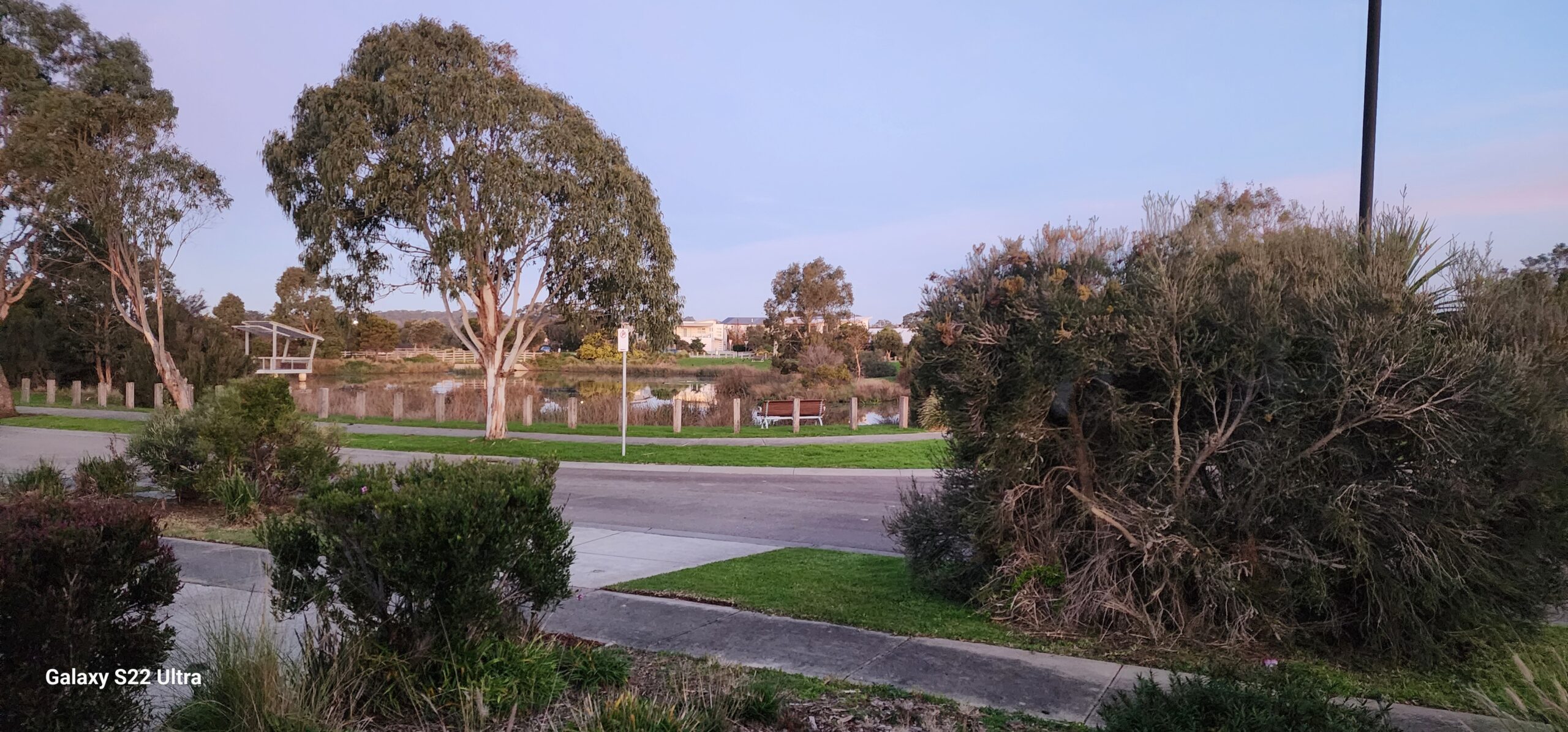 bird flu and the impact on the lake across the road from home
